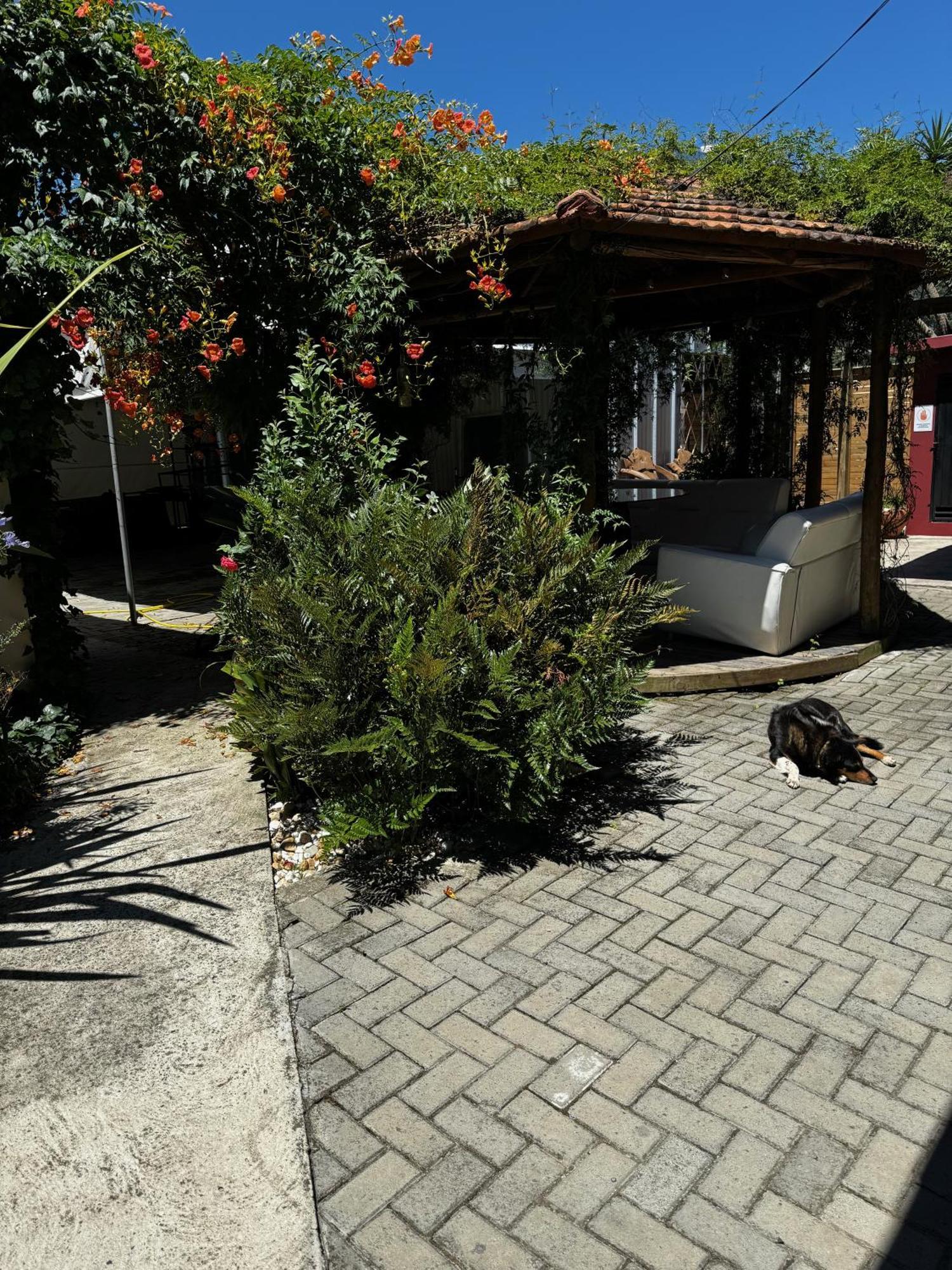 Pousada Upserra Urubici Exteriér fotografie